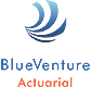 Logo Blueventure Actuarial